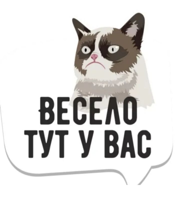 вест тут у ВАс