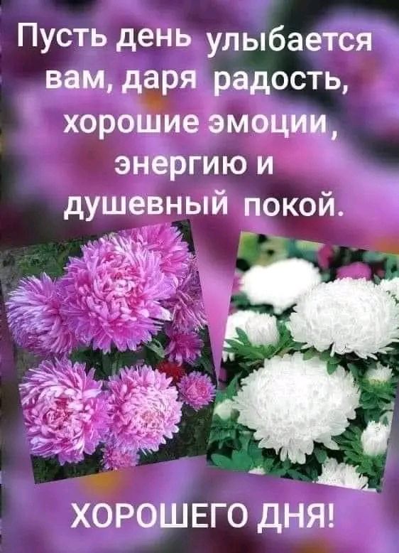 Пусть деныулыбается вам даря радость хорошщие эмоции энергию и душевный покой КОЛ ур Р К р Ц_ ХОРОШЕГО ДНЯ