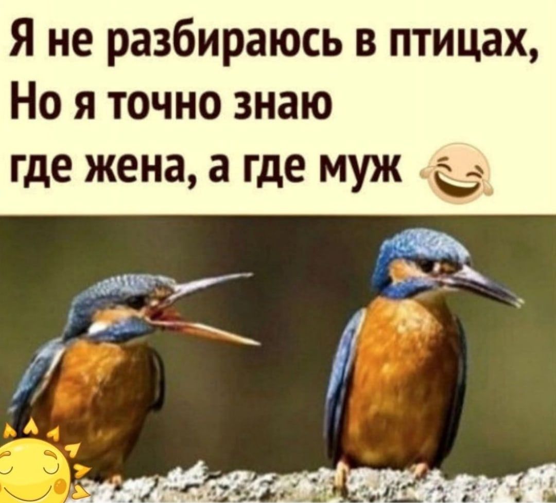 Я не разбираюсь в птицах Но я точно знаю где жена а где муж