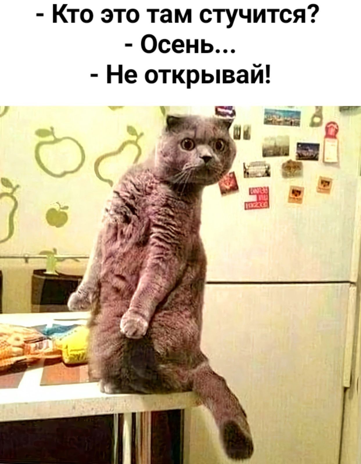 Кто это там стучится Осень Не открывай