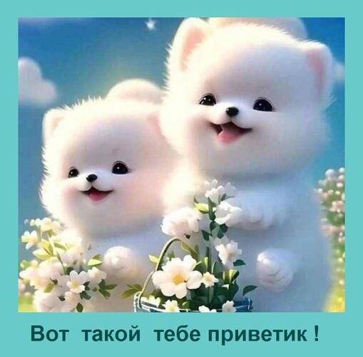 Вот такой тебе приветик