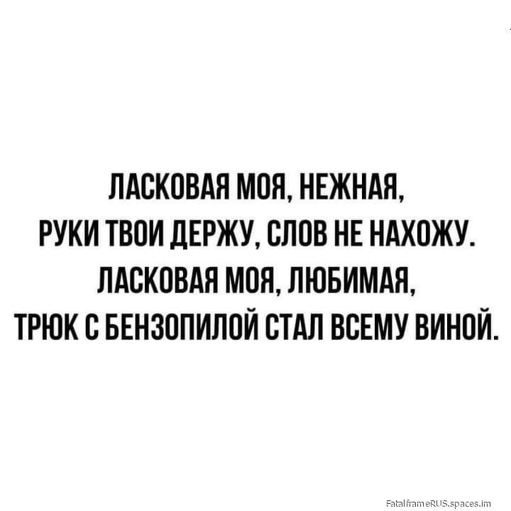 ЛАСКОВАЯ МОЯ НЕЖНАЯ РУКИ ТВОИ ДЕРЖУ СЛОВ НЕ НАХОЖУ ЛАСКОВАЯ МОЯ ЛЮБИМАЯ ТРЮК С БЕНЗОПИЛОЙ СТАЛ ВСЕМУ ВИНОЙ