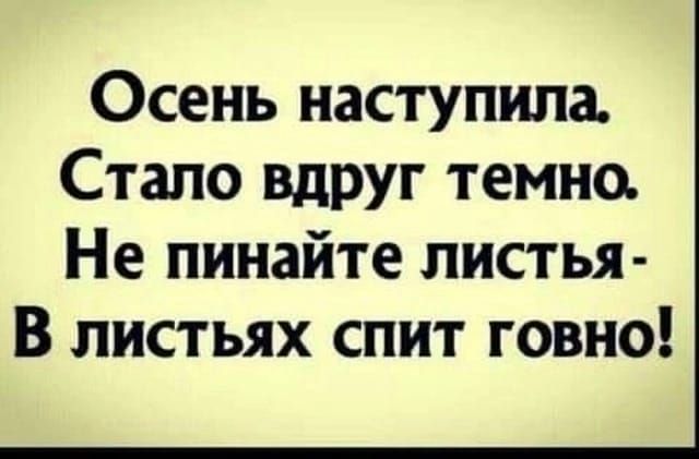 Осень наступила Стало вдруг темно Не пинайте листья В листьях спит говно