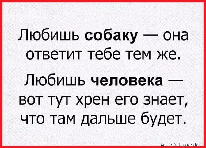 Любишь собаку она ответит тебе тем же Любишь человека вот тут хрен его знает что там дальше будет