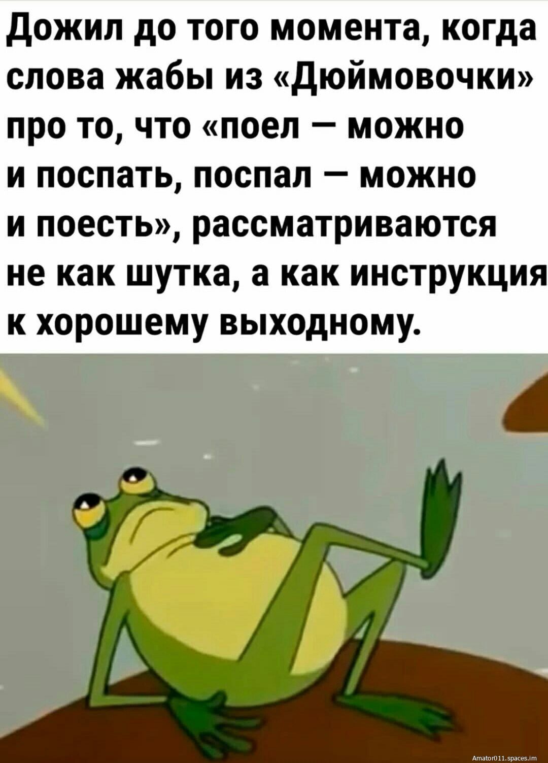 Дожил до того момента когда слова жабы из Дюймовочки про то что поел можно и поспать поспал можно и поесть рассматриваются не как шутка а как инструкция к хорошему выходному