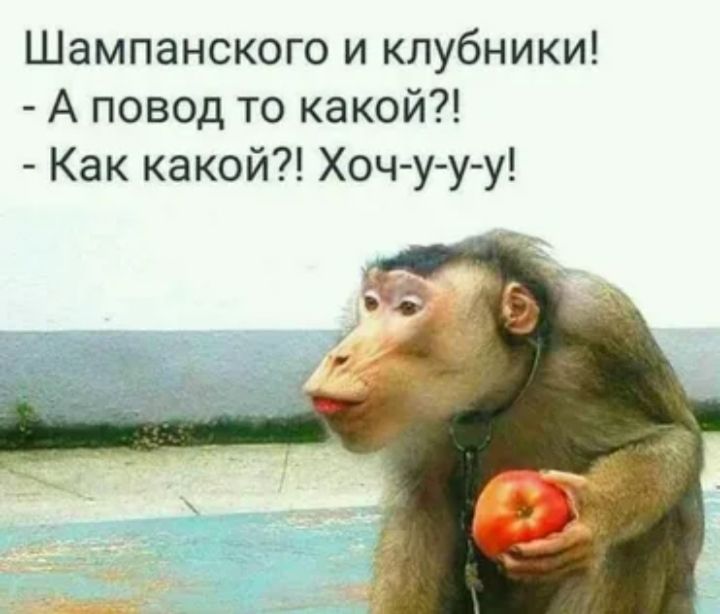 Шампанского и клубники А повод то какой Как какой Хоч у у у
