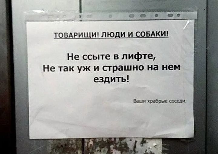 ТОВАРИЩИ ЛЮДИ И СОБАКИ Не ссыте в лифте Не так уж и страшно на нем ездить