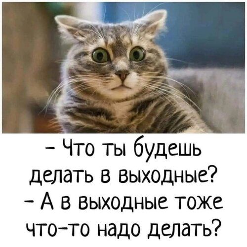 Что ты будешь делать в выходные А в выходные тоже что то надо делать