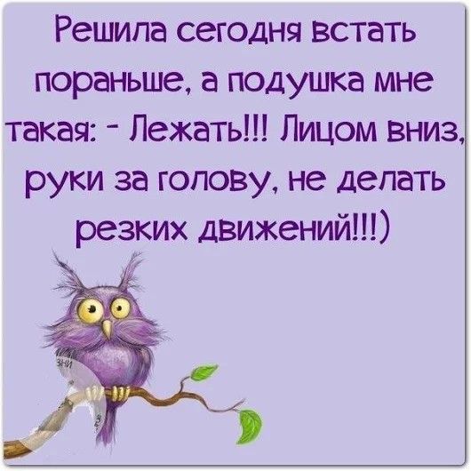 Решила сегодня встать пореаньше а подушка мне такая Лежать Лицом вниз руки за голову не делать резких движений