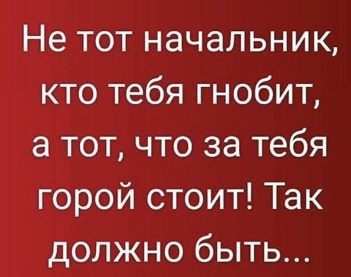 Не тот начальник кто тебя гнобит а тот что за тебя горой стоит Так должно быть