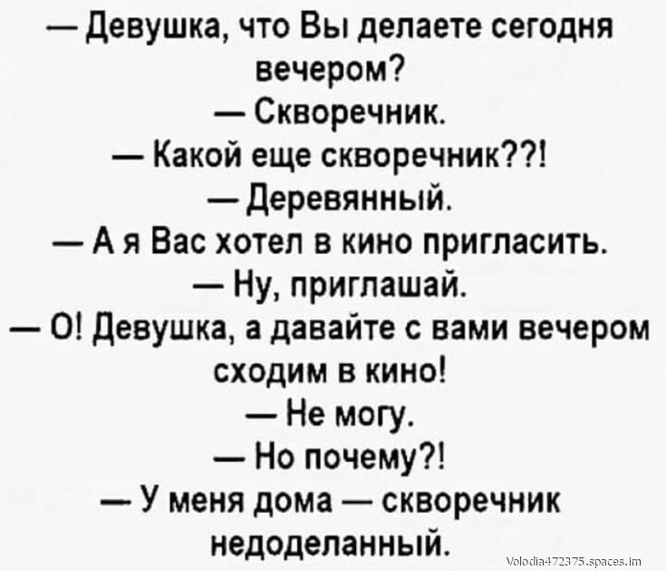 Девушка что Вы делаете сегодня вечером Скворечник Какой еще скворечник Деревянный Ая Вас хотел в кино пригласить Ну приглашай 0 Девушка а давайте с вами вечером сходим в кино Не могу Но почему У меня дома скворечник недоделанный