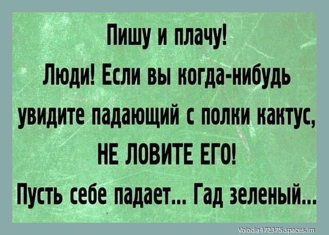 Пишу и плачу Люди Если вы когда нибудь увидите падающий с полки кактус НЕ ЛОВИТЕ ЕГО Пусть себе падает Гад зеленый