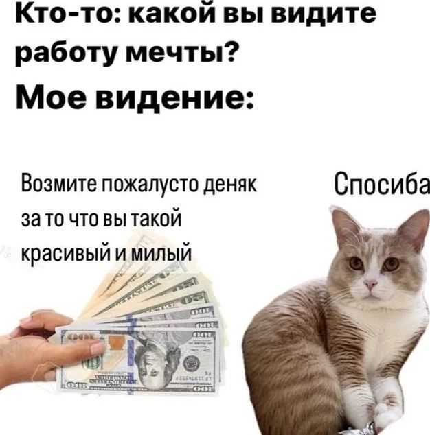 Кто то какой вы видите работу мечты Мое видение Возмите пожалусто деняк Спосиба за то что вы такой красивый и милый ра