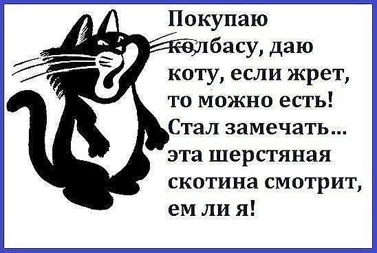 Покупаю басу даю коту если жрет то можно есть Стал замечать эта шерстяная скотина смотрит емлия