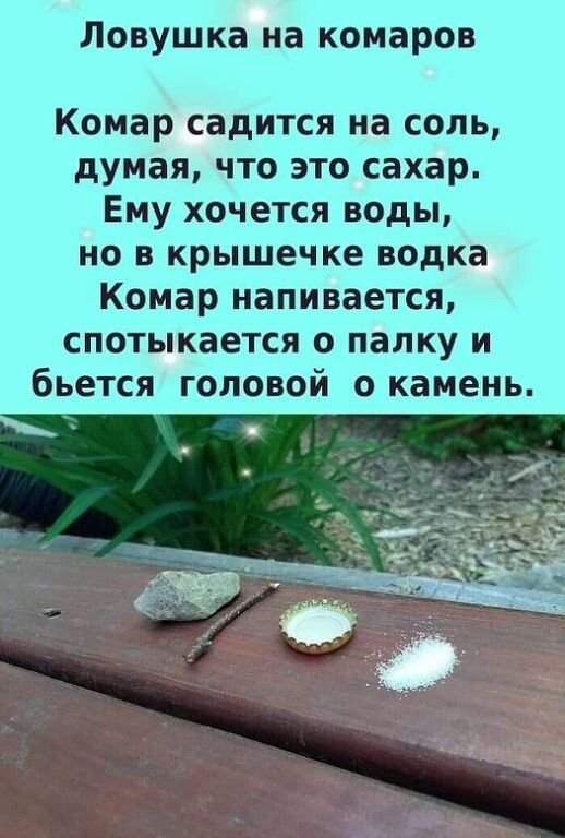 Ловушка на комаров Комар садится на соль думая что это сахар Ему хочется воды но в крышечке водка Комар напивается спотыкается о палку и бьется головой о камень