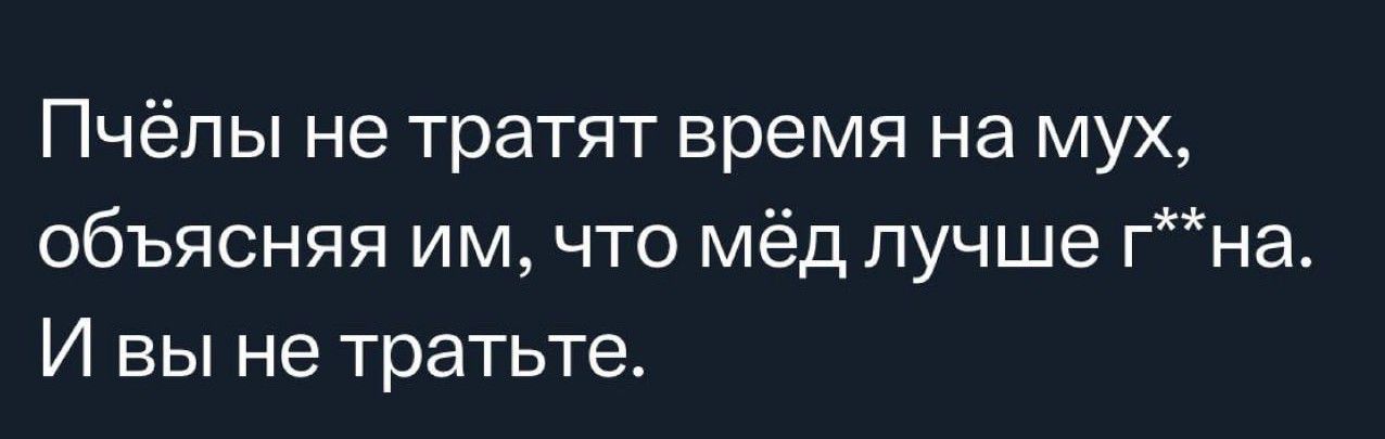 Пчёлы не тратят время на мух объясняя им что мёд лучше гна И вы не тратьте