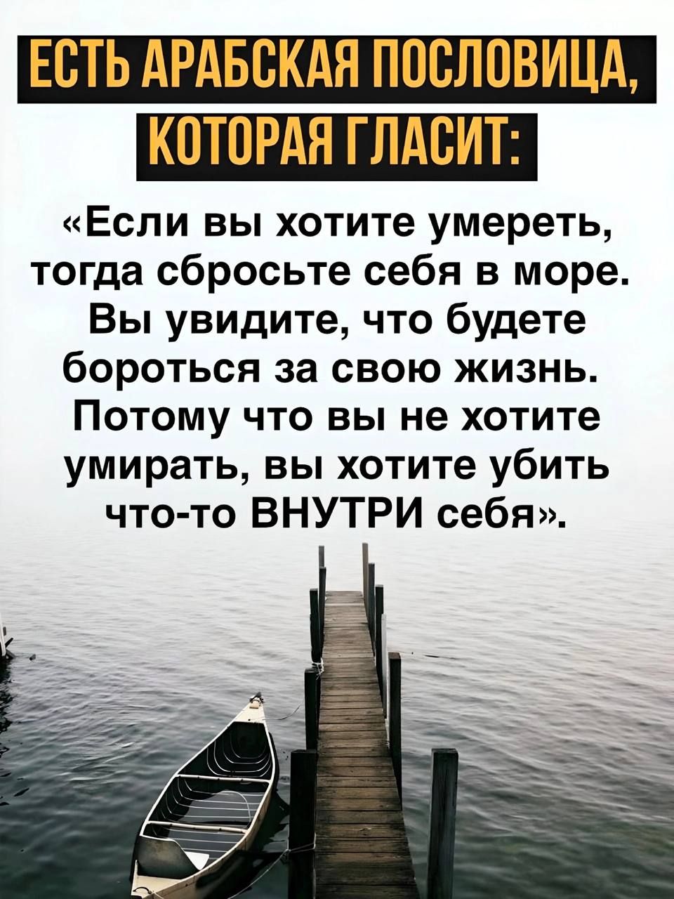 ЕСТЬ АРАБСКАЯ ПОСЛОВИЦА КОТОРАЯ ГЛАСИТ Если вы хотите умереть тогда сбросьте себя в море Вы увидите что будете бороться за свою жизнь Потому что вы не хотите умирать вы хотите убить что то ВНУТРИ себя