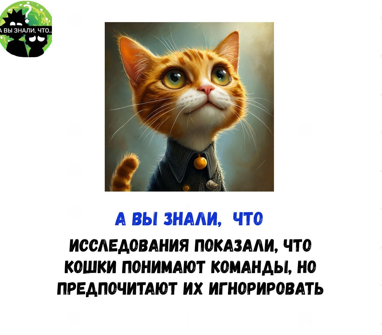 А ВЫ ЗНАЛИ ЧТО ИССЛЕДОВАНИЯ ПОКАЗАЛИ ЧТО КОШКИ ПОНИМАЮТ КОМАНДЫ НО ПРЕДПОЧИТАЮТ ИХ ИГНОРИРОВАТЬ