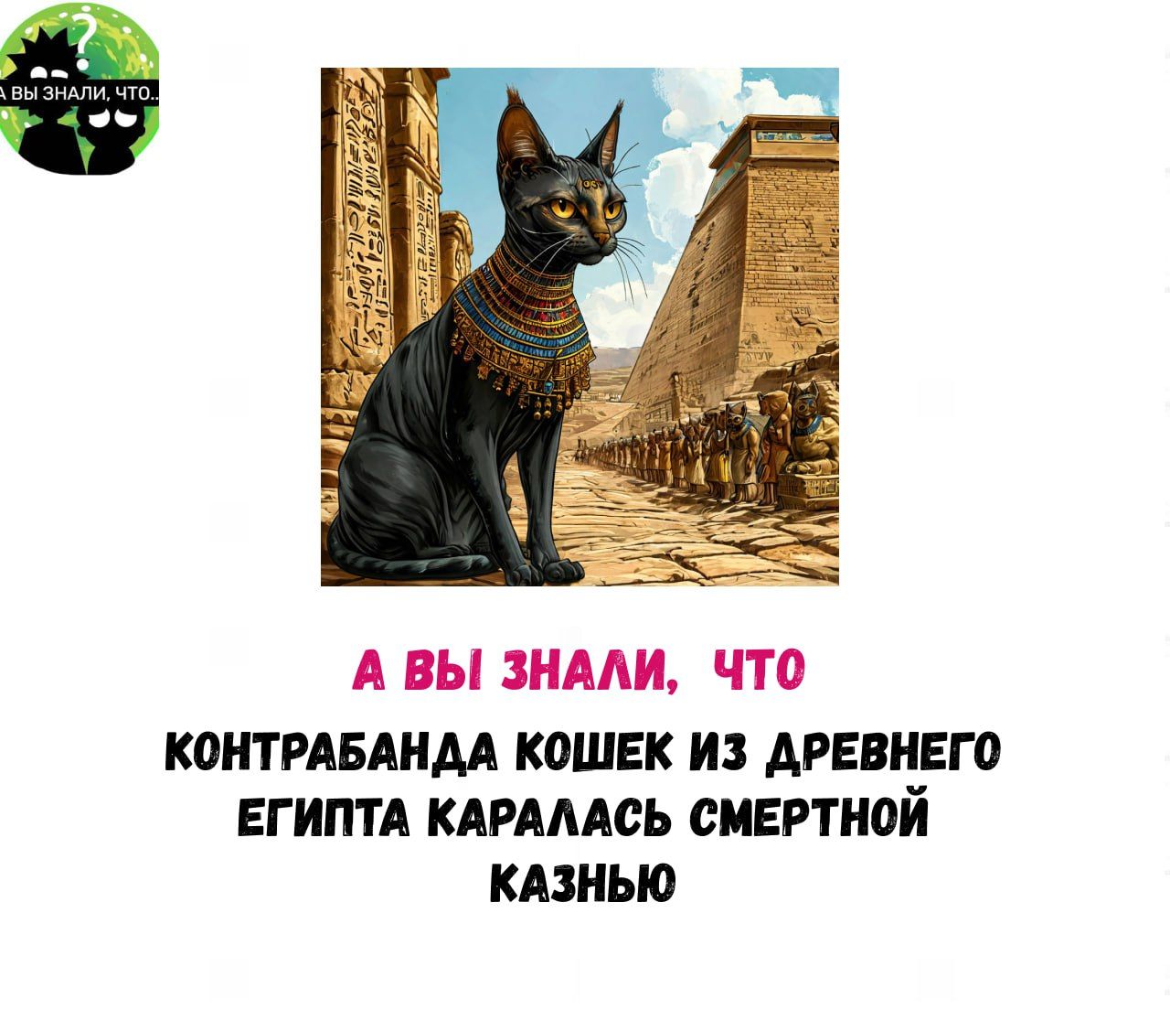 А ВЫ ЗНАЛИ ЧТО КОНТРАБАНДА КОШЕК ИЗ ДРЕВНЕГО ЕГИПТА КАРАЛАСЬ СМЕРТНОЙ КАЗНЬЮ