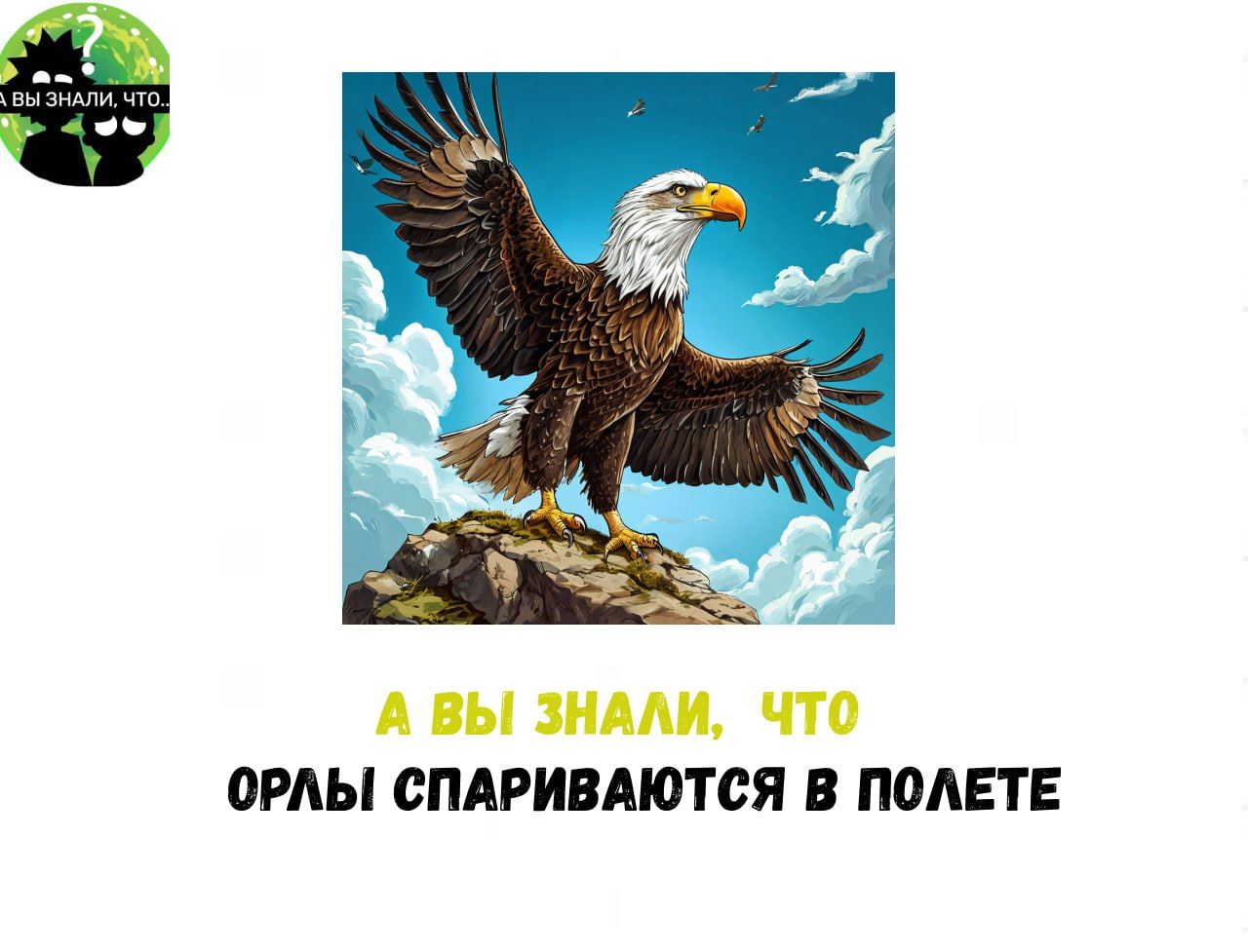 А ВЫ ЗНАЛИ ЧТО ОРЛЫ СПАРИВАЮТСЯ В ПОЛЕТЕ