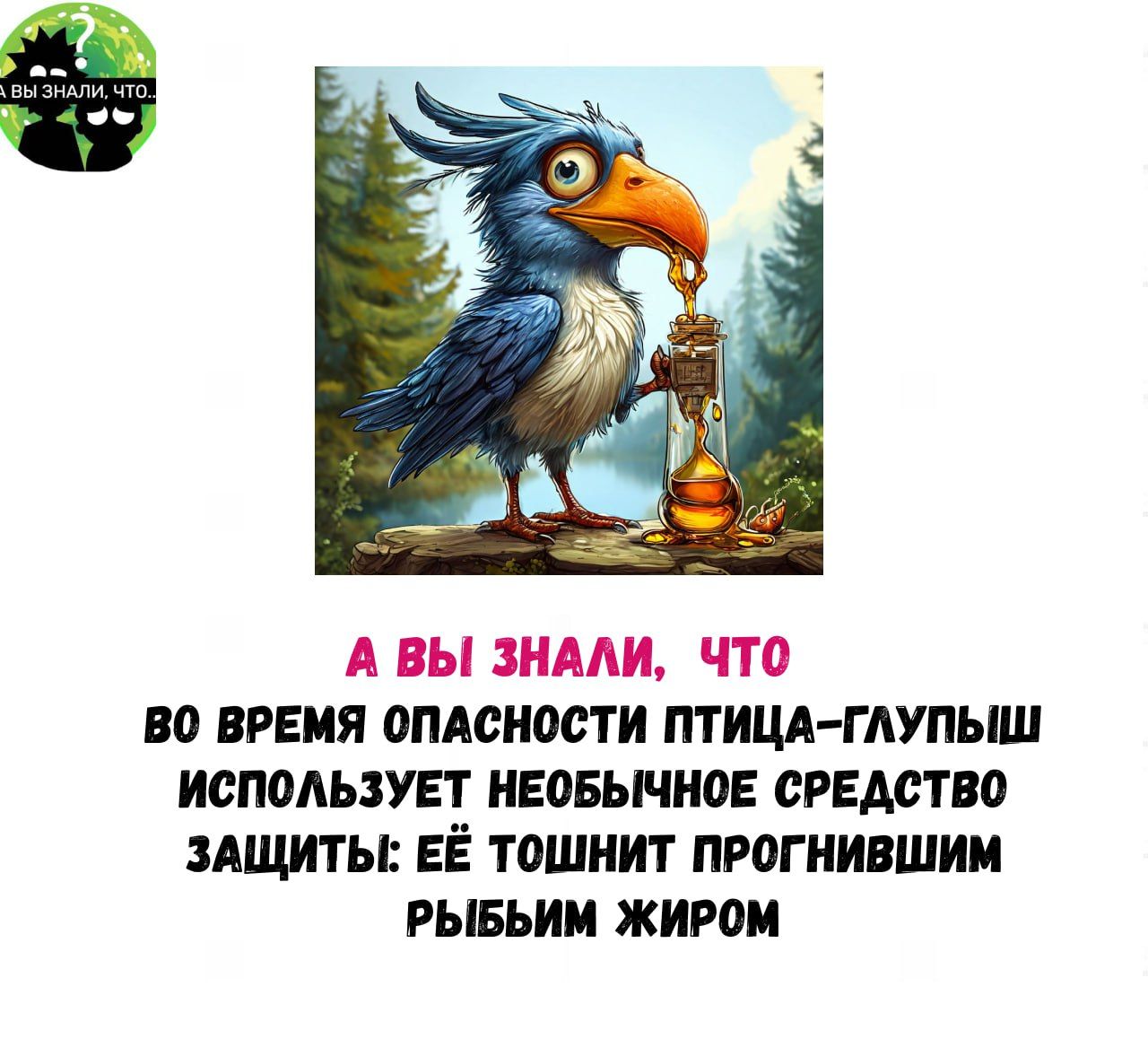 А ВЫ ЗНАЛИ ЧТО В0 ВРЕМЯ ОПАСНОСТИ ПТИЦА ГЛУПЫШ ИСПОЛЬЗУЕТ НЕОБЫЧНОЕ СРЕДСТВО ЗАЩИТЫ ЕЁ ТОШНИТ ПРОГНИВШИМ РЫБЬИМ ЖИРОМ