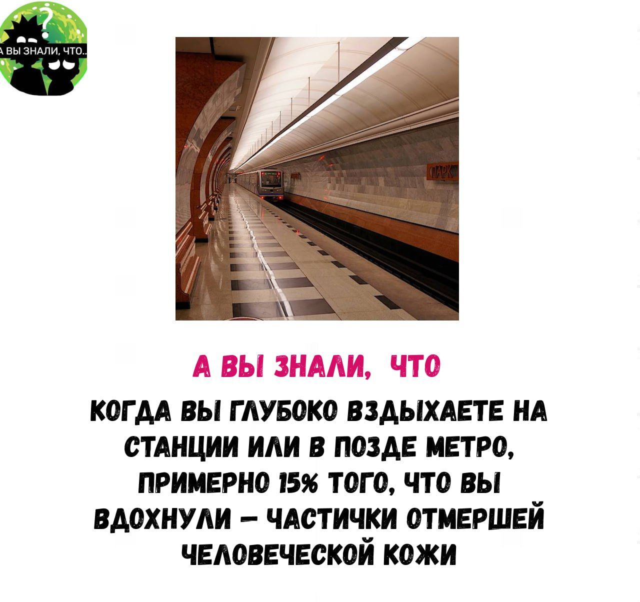 КОГДА ВЫ ГЛУБОКО ВЗДЫХАЕТЕ НА СТАНЦИИ ИЛИ В ПОЗДЕ МЕТРО ПРИМЕРНО 15 ТОГО ЧТО ВЫ ВДОХНУЛИ ЧАСТИЧКИ ОТМЕРШЕЙ ЧЕЛОВЕЧЕСКОЙ КОЖИ