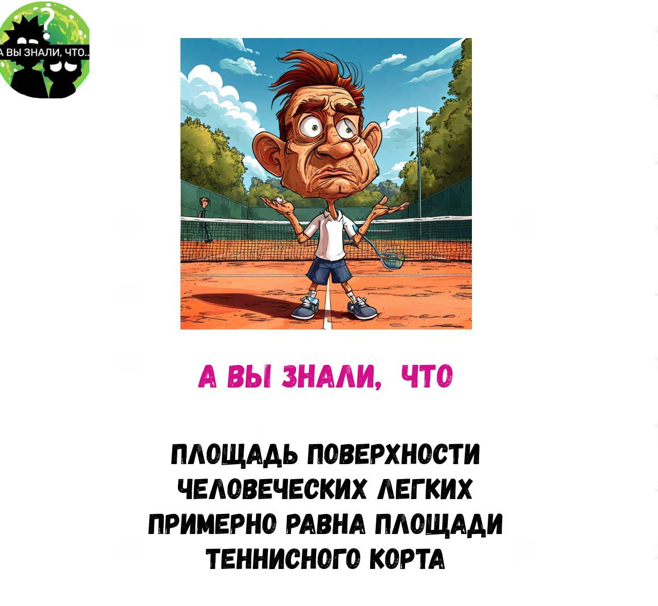 А ВЫ ЗНАЛИ ЧТО ПЛОЩАДЬ ПОВЕРХНОСТИ ЧЕЛОВЕЧЕСКИХ ЛЕГКИХ ПРИМЕРНО РАВНА ПЛОЩАДИ ТЕННИСНОГО КОРТА