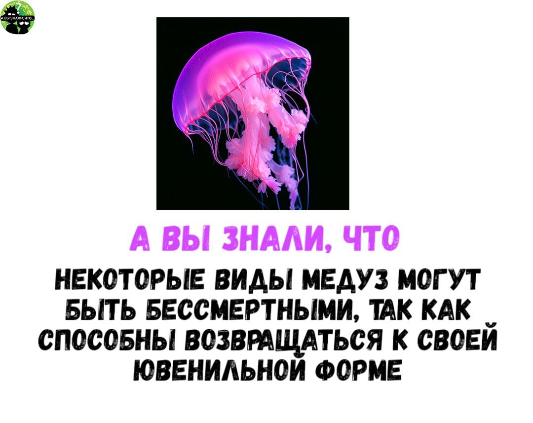 НЕКОТОРЫЕ ВИДЫ МЕДУЗ МОГУТ БЫТЬ БЕССМЕРТНЫМИ ТАК КАК _ СПОСОБНЫ ВОЗВРАЩАТЬСЯ К СВОЕЙ ЮВЕНИЛЬНОЙ ФОРМЕ