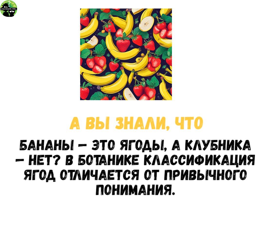 А ВЫ ЗНАЛИ ЧТО БАНАНЫ ЭТО ЯГОДЫ А КЛУБНИКА НЕТ В БОТАНИКЕ КЛАССИФИКАЦИЯ ЯГОД ОТЛИЧАЕТСЯ ОТ ПРИВЫЧНОГО ПОНИМАНИЯ