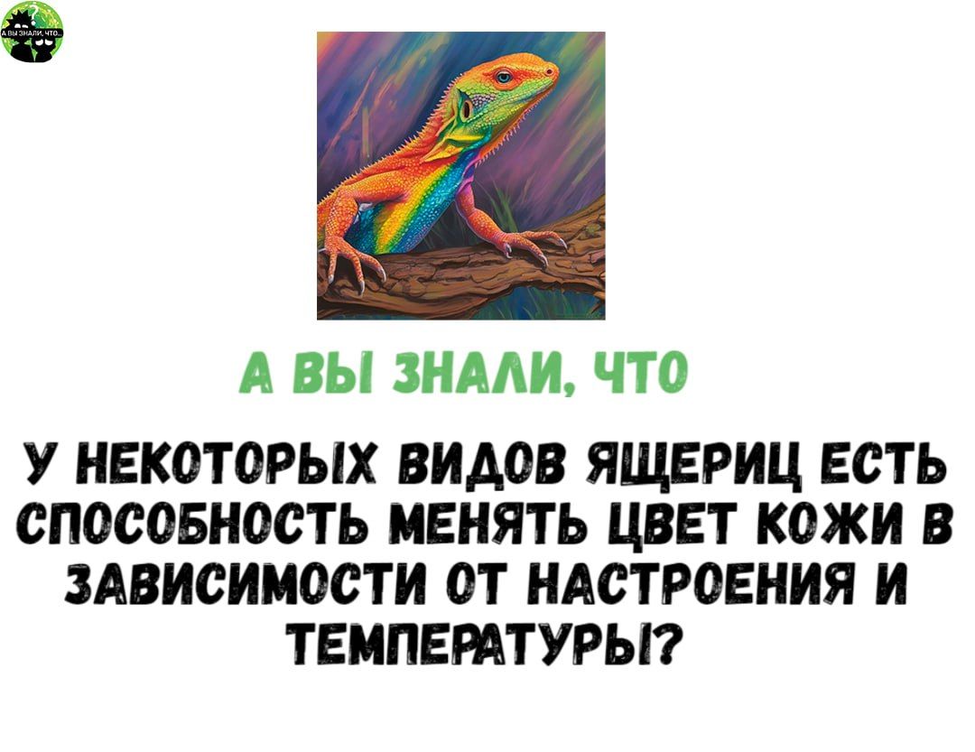 А ВЫ ЗНАЛИ ЧТо У НЕКСТОРЫХ ВИДОВ ЯЩЕРИЦ ЕСТЬ СПОСОБНОСТЬ МЕНЯТЬ ЦВЕТ КОЖИ В ЗАВИСИМОСТИ ОТ НАСТРОЕНИЯ И ТЕМПЕРАТУРЫ