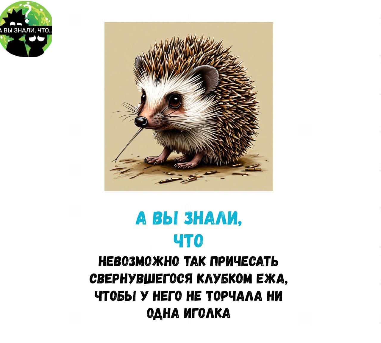 А ВЫ ЗНАЛИ что НЕВОЗМОЖНО ТАК ПРИЧЕСАТЬ СВЕРНУВШЕГОСЯ КЛУБКОМ ЕЖА ЧТОБЫ У НЕГО НЕ ТОРЧАЛА НИ ОДНА ИГОЛКА