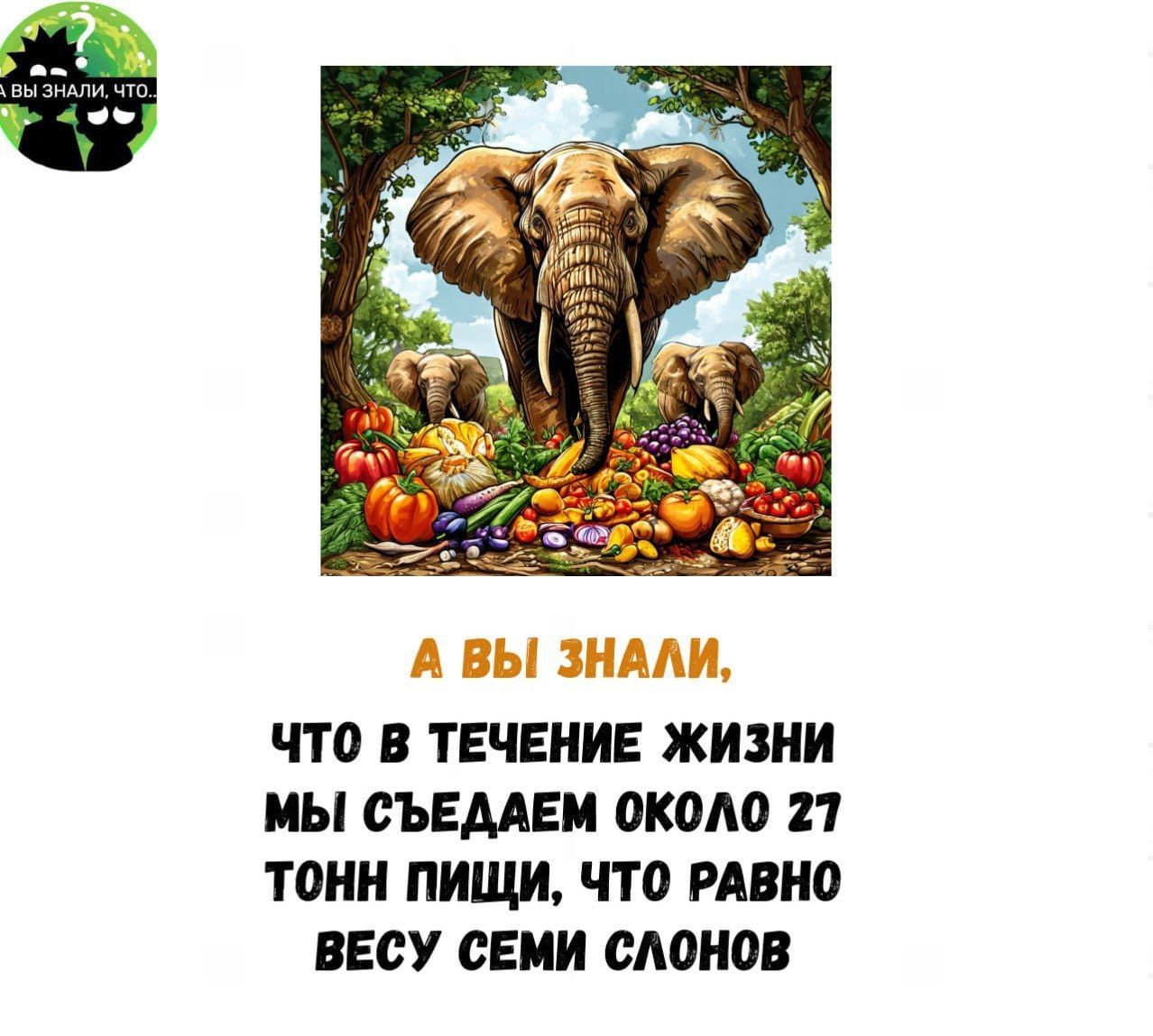 А ВЫ ЗНАЛИ ЧТО В ТЕЧЕНИЕ ЖИЗНИ МЫ СЪЕДАЕМ ОКОЛо 27 ТОНН ПИЩИ ЧТО РАВНО ВЕСУ СЕМИ СЛОНОВ