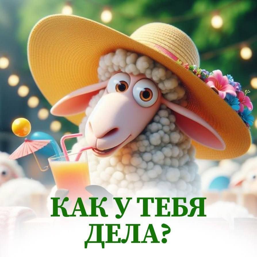 КАК У ТЕБЯ ДЕЛА