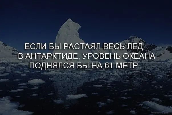 ЕСЛИ БЫ РАСТАЯЛ ВЕСЬ ЛЕД В АНТАРКТИДЕ УРОВЕНЬ ОКЕАНА ПОДНЯЛСЯ БЫ НА 61 МЕТР