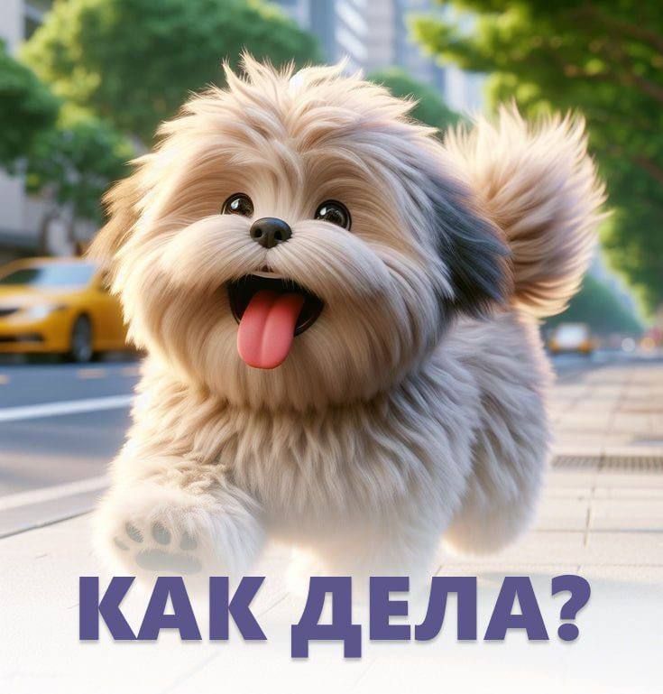 Как дела?