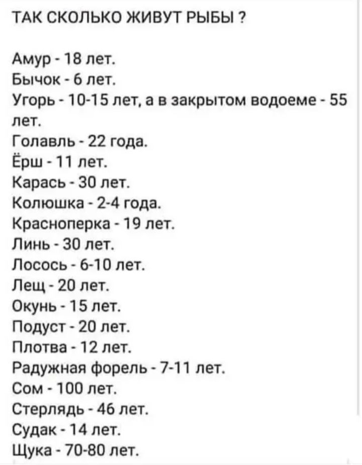 ТАК СКОЛЬКО ЖИВУТ РЫБЫ ?

Амур - 18 лет.
Бычок - 6 лет.
Угорь - 10-15 лет, а в закрытом водоеме - 55 лет.
Голавль - 22 года.
Ёрш - 11 лет.
Карась - 30 лет.
Колюшка - 2-4 года.
Краснопёрка - 19 лет.
Линь - 30 лет.
Лосось - 6-10 лет.
Лещ - 20 лет.
Окунь - 15 лет.
Подуст - 20 лет.
Плотва - 12 лет.
Радужная форель - 7-11 лет.
Сом - 100 лет.
Стерлядь - 46 лет.
Судак - 14 лет.
Щука - 70-80 лет.