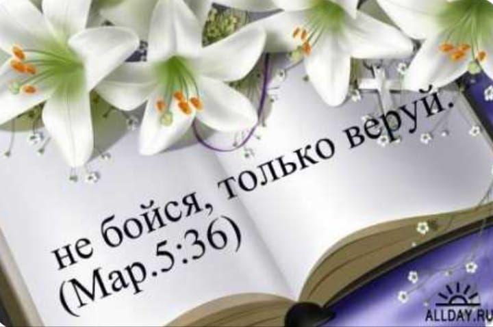 не бойся, только веруй. (Мар.5:36)