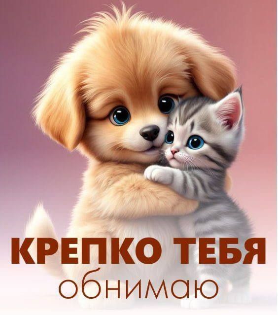 Крепко тебя обнимаю