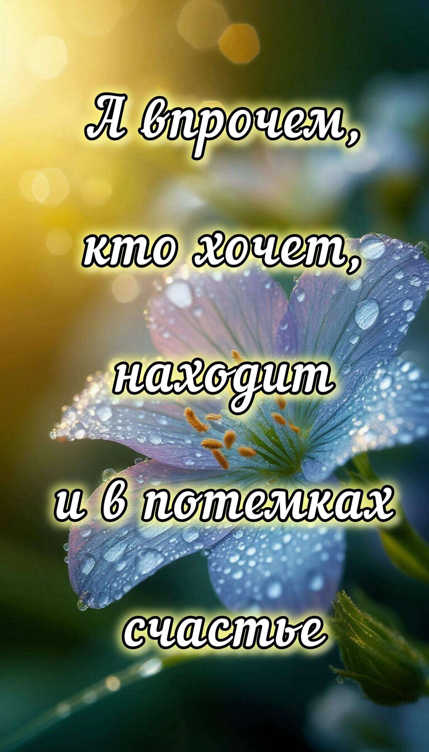 А впрочем, кто хочет, находит и в потемках счастье