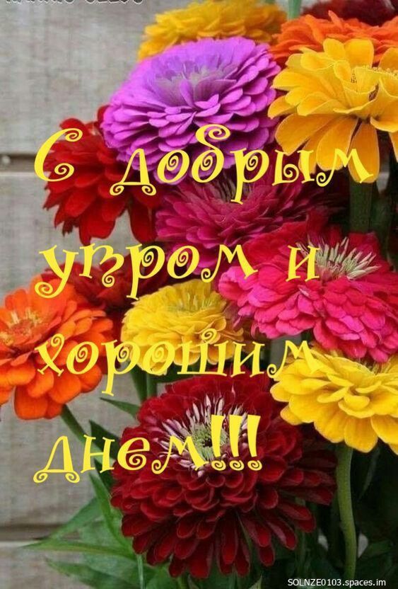 С добрым утром и хорошим днем!!!