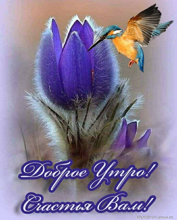 Доброе Утро! Счастья Вам!