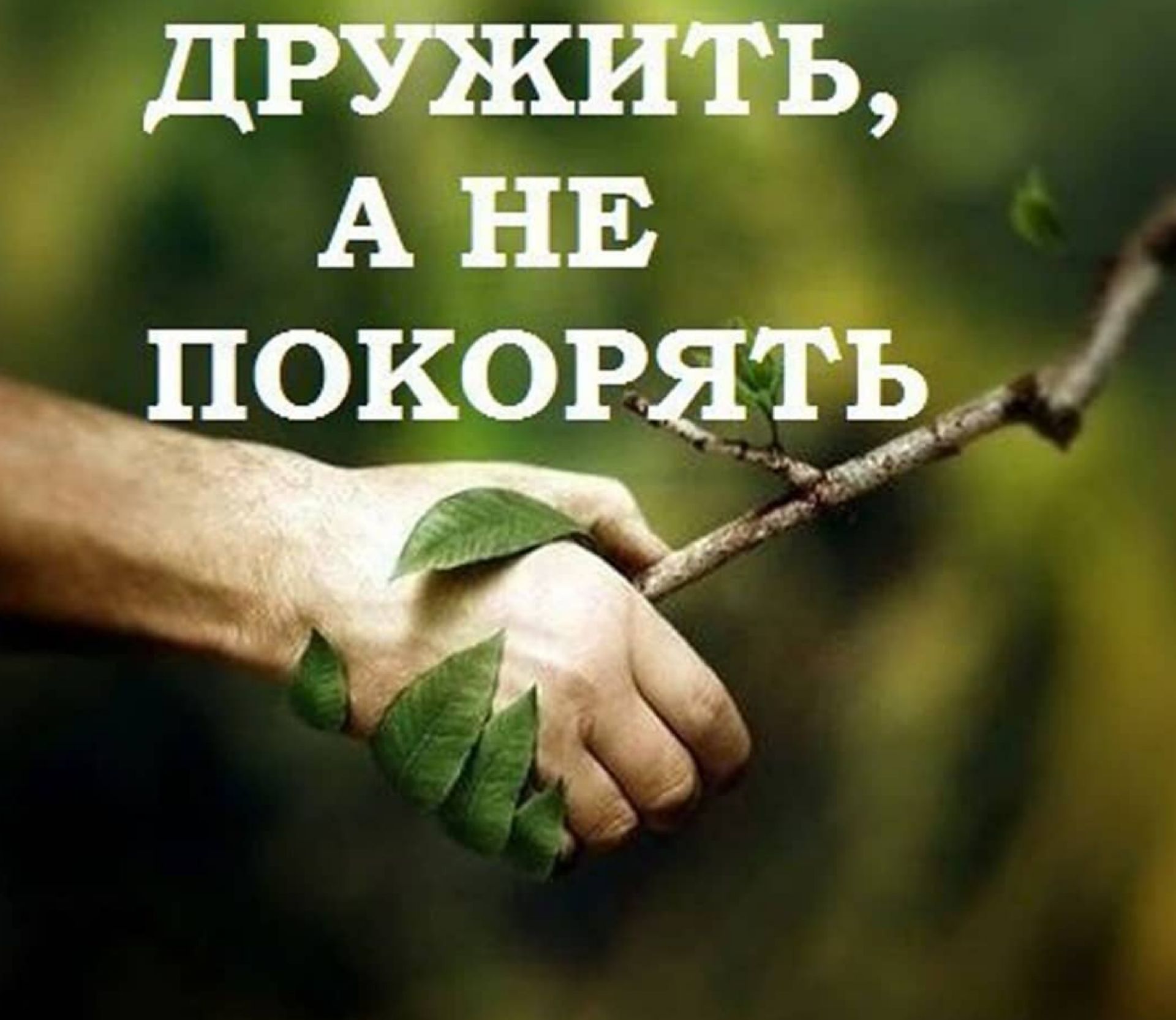 ДРУЖИТЬ, А НЕ ПОКОРЯТЬ