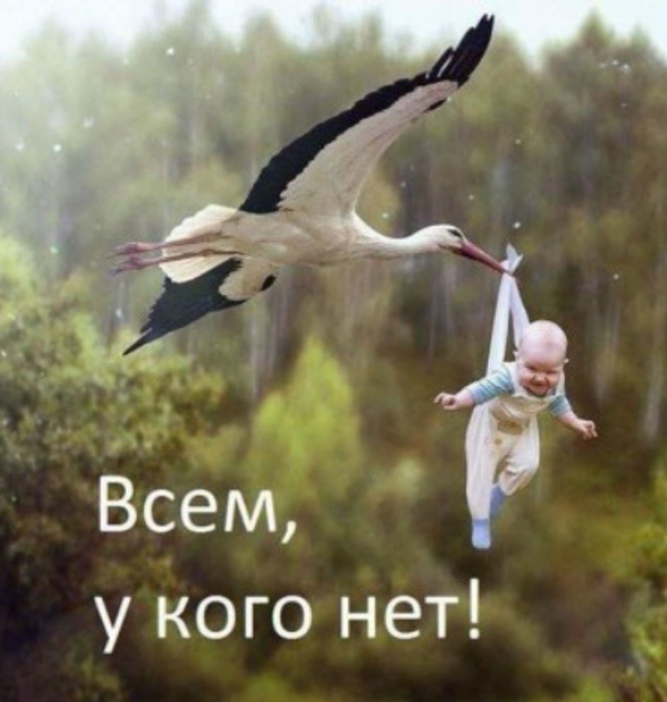Всем, у кого нет!