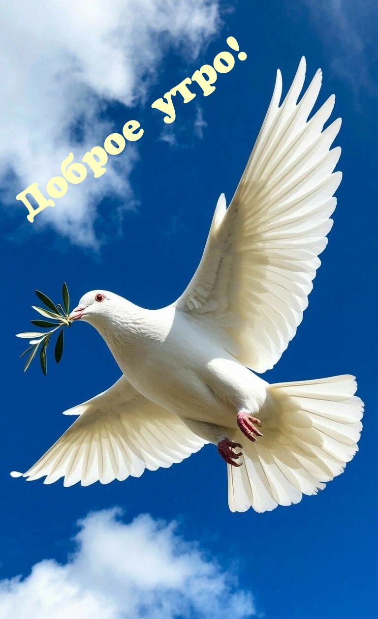Доброе утро!