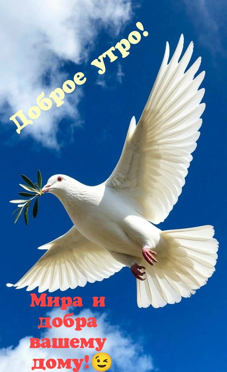 Доброе утро! Мирa и добра вашему дому! 😉