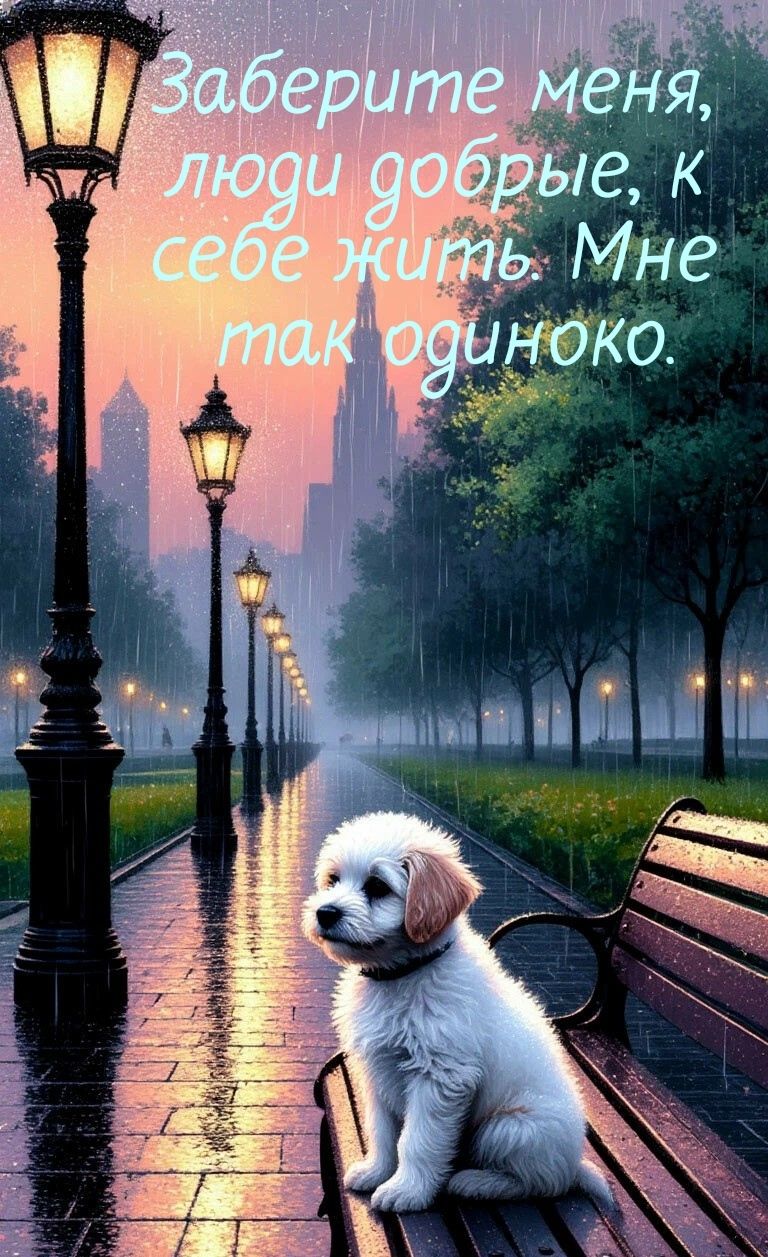 Заберите меня, люди добрые, к себе жить. Мне так одиноко.