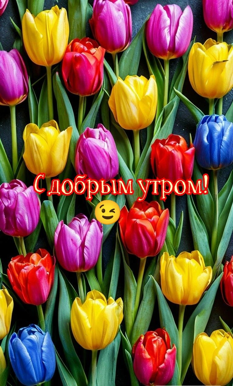 С добрым утром!