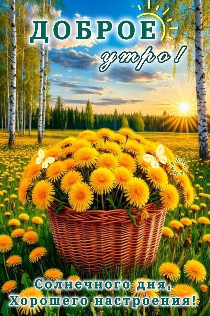 ДОБРОЕ утро! Соленечного дня, Хорошего настроения!