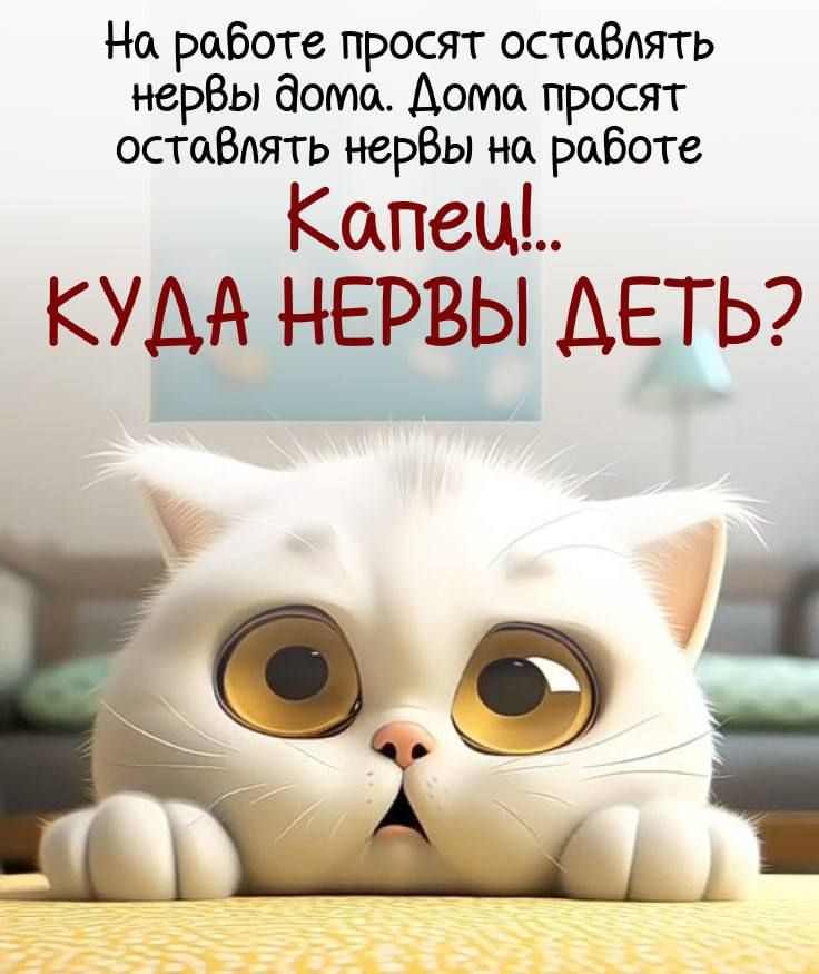 На работе просят оставлять нервы дома. Дома просят оставлять нервы на работе
Капец!... КУДА НЕРВЫ ДЕТЬ?