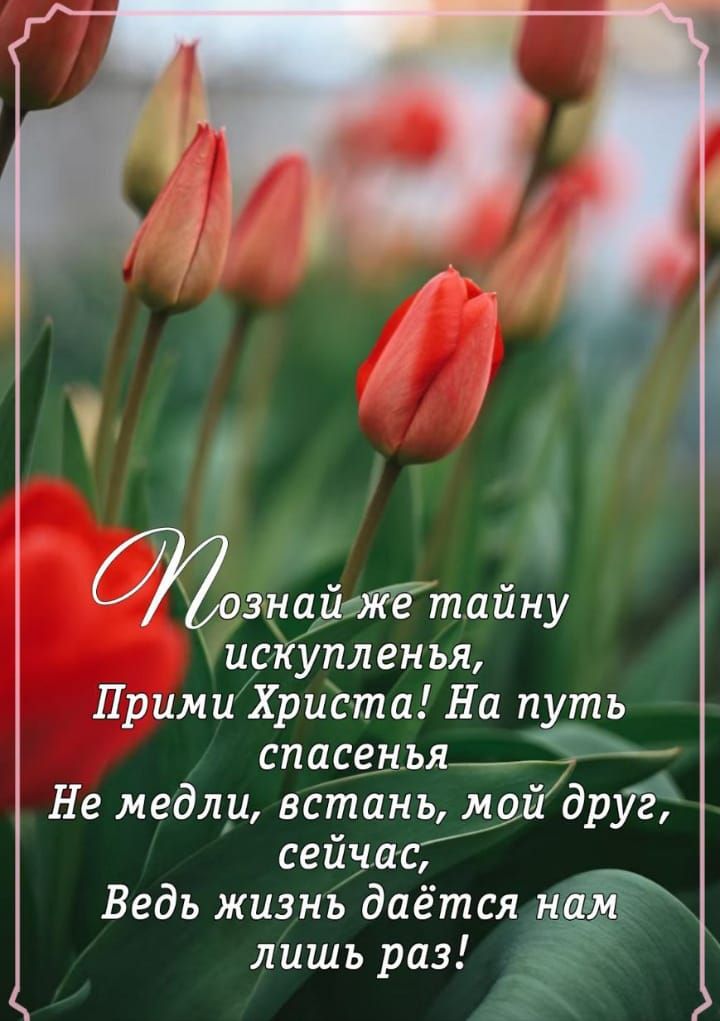 Познай же тайну искупления,
Прими Христа! На путь спасенья
Не медли, встань, мой друг, сейчас,
Ведь жизнь даётся нам лишь раз!